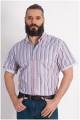 Korte mouw overhemd streepje Plusman