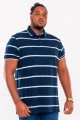 Korte mouw gestreepte polo van D555.